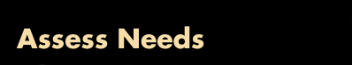 Assess Needs