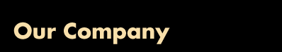 Our Company