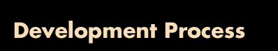 Development Process